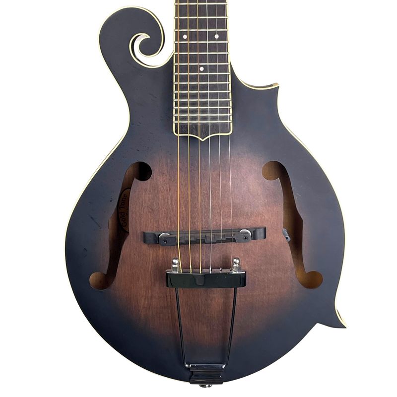 Gold Tone F-6 Mandolin Tobacco Sunburst w/Case (Used)