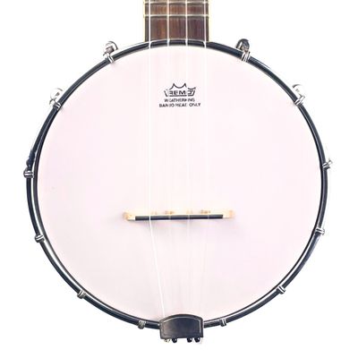 Oscar Shmidt by Washburn Bonjolele OUB1 w/Custom HSC