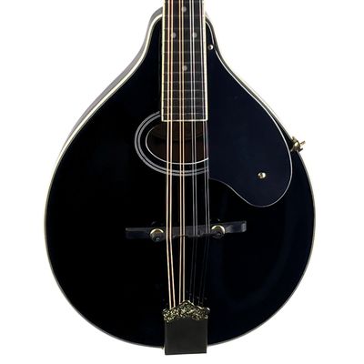 Washburn M1SDLB A-Style Mandolin Black (Used)