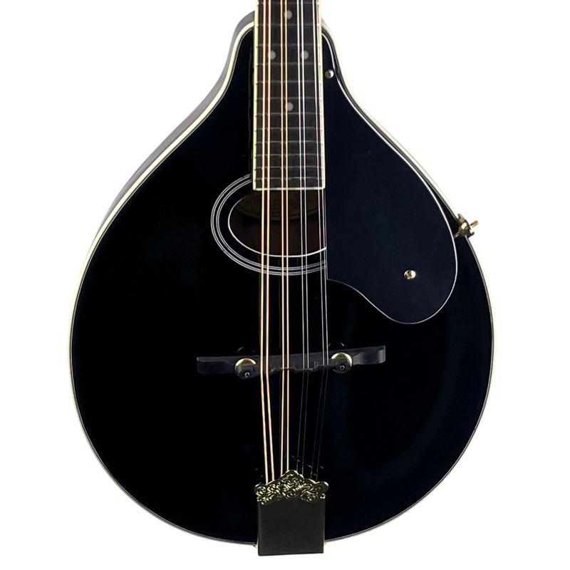 Washburn M1SDLB A-Style Mandolin Black (Used)