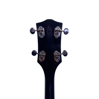 Harmony Roy Smeck Tenor Banjo (Used)
