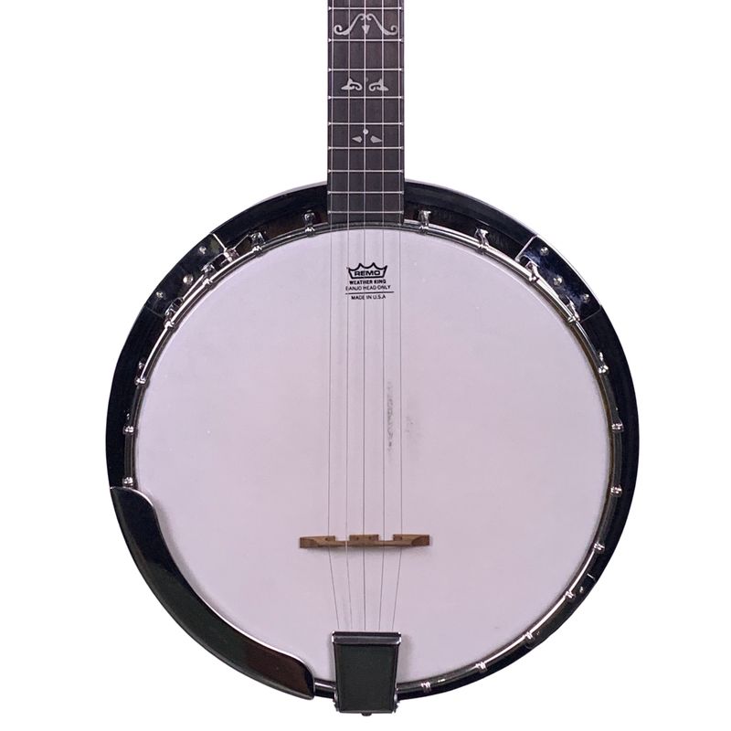 Samick Artist 5-String Banjo (Used)