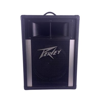 Peavey 110H Speaker Cabniet Pair (Used)