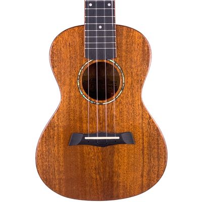 Snail Mahogany Glossy Concert Ukulele (Used)