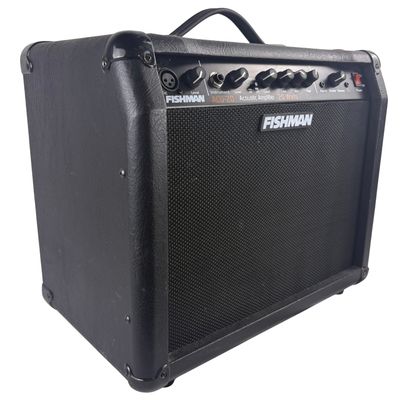 Fishman ACG-20 Acoustic Combo Amplifier (Used)