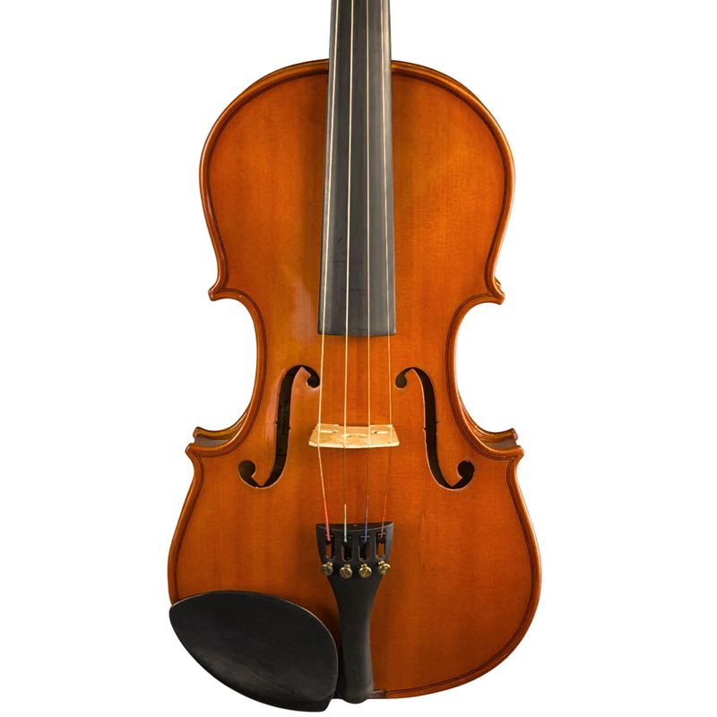 Palatino VN 350 4/4 Violin W/HSC (Used)