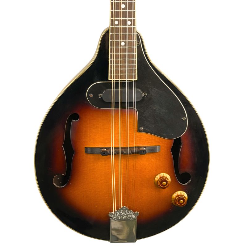 Rogue RM110AE Acoustic-Electric A-Style Mandolin (Used)