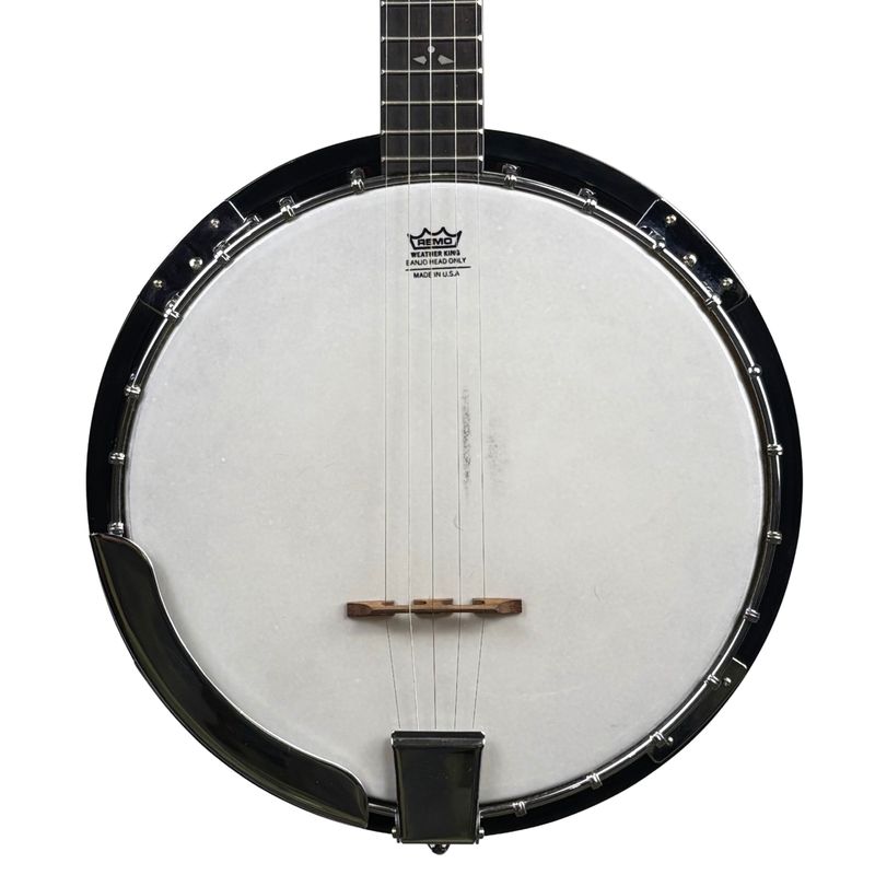 Samick Artist 5-String Banjo (Used)