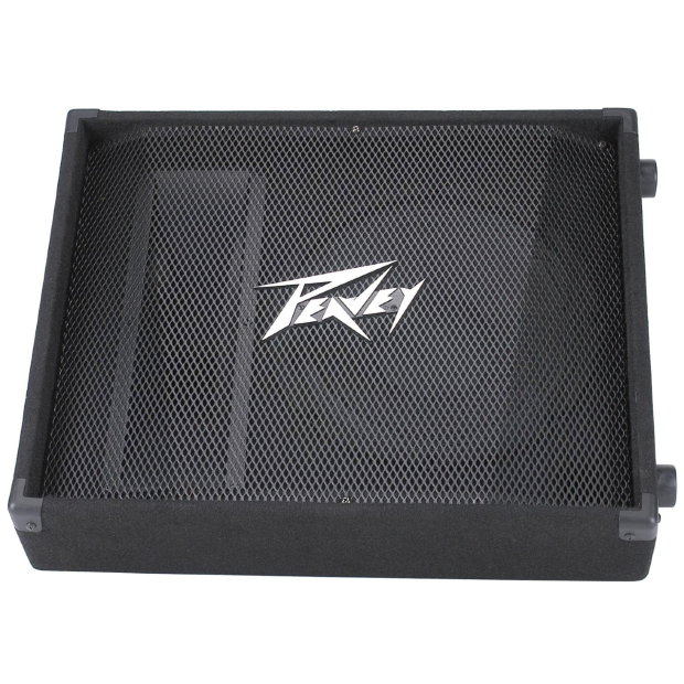 Peavey PV® 12M 2-Way Floor Monitor