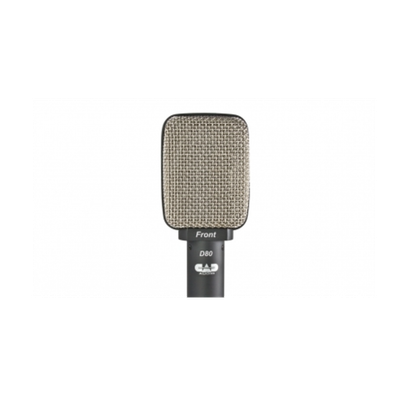 CAD D80 Guitar Cabinet Dynamic Microphone