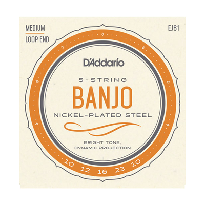 D'Addario EJ61 Nickel Wound Banjo Strings - 10-23 Medium 5-String