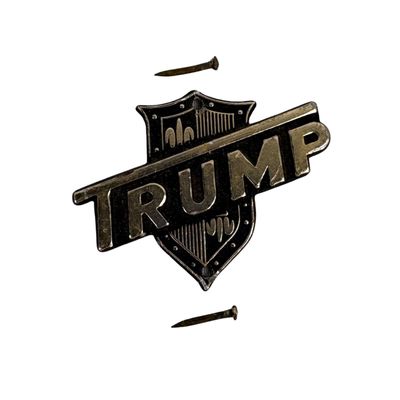 Vintage 1960's Japanese "Trump" Guitar Headstock Badge/Emblem/Logo