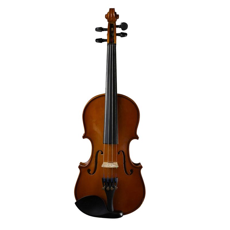 Palatino VN-350 1/2 Size Violin W/HSC (Used)