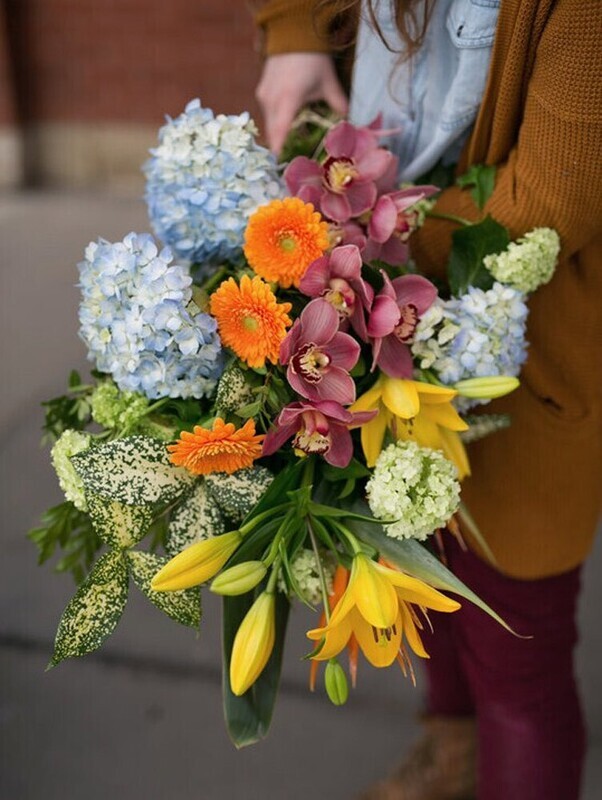 Colossal Bunch