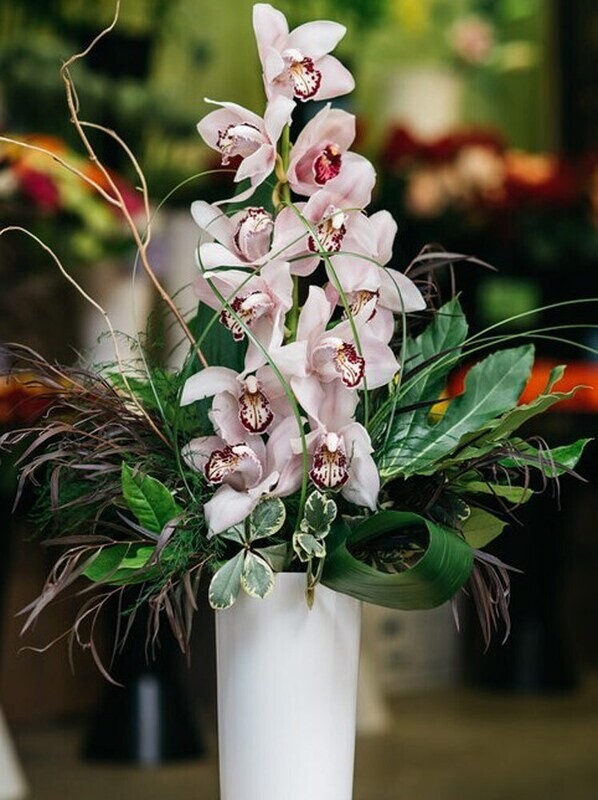 Decadent Orchid