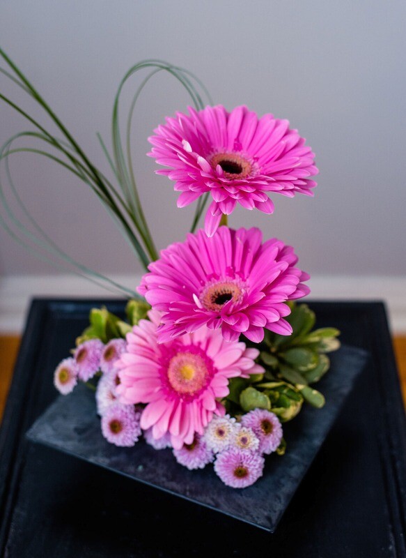 Gerbera Hearts