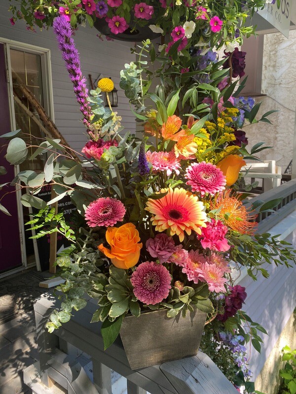 Sunset Blooms