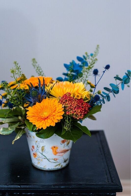Apricot Vintage