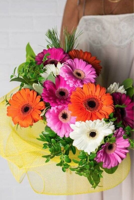Dozen Gerbera Daisies - Wrapped