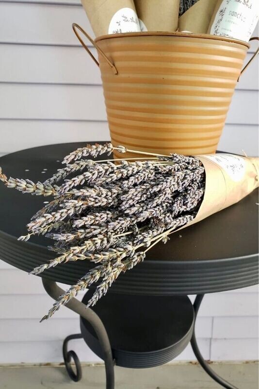 Dried BC Lavender Bunch