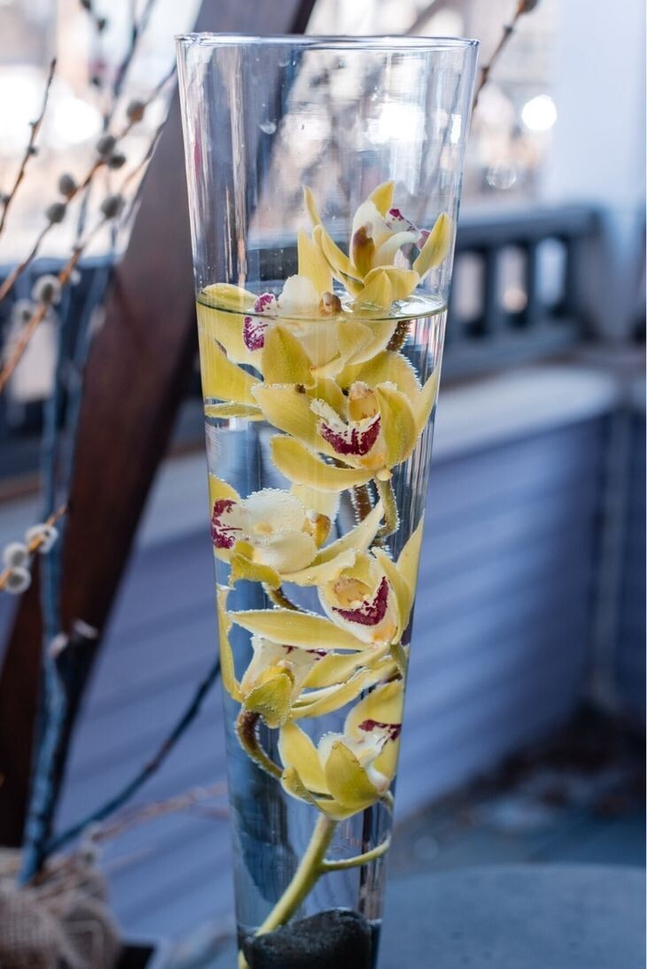 Underwater Cymbidium Orchid