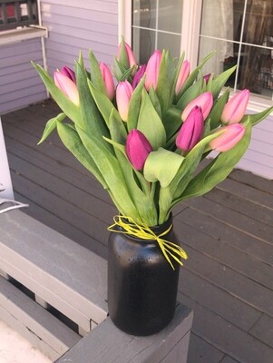Tulips in a Vase - Small