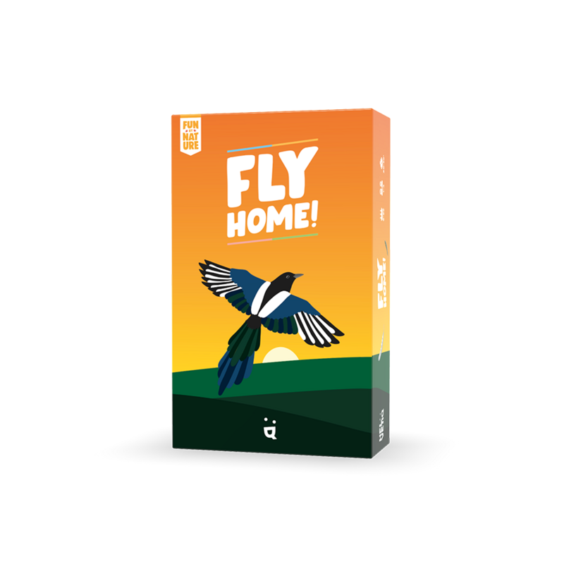 Fly Home!