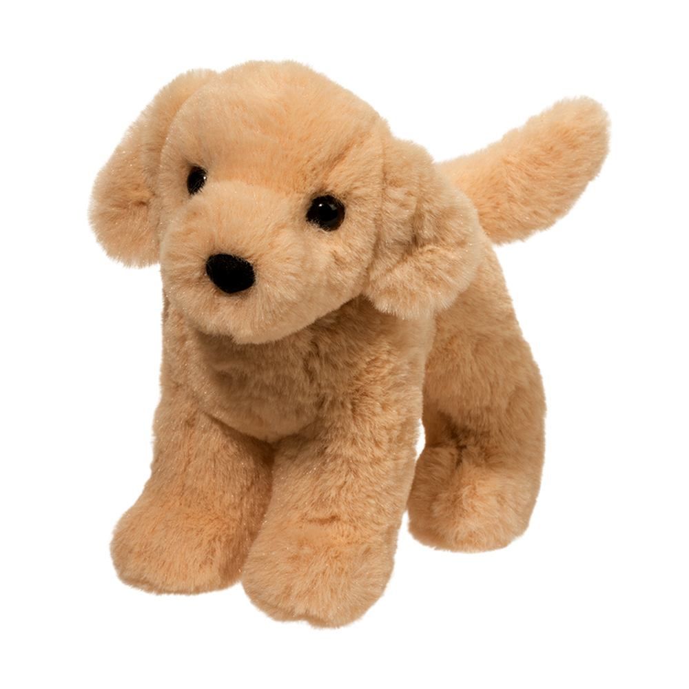 Cornell Labrador