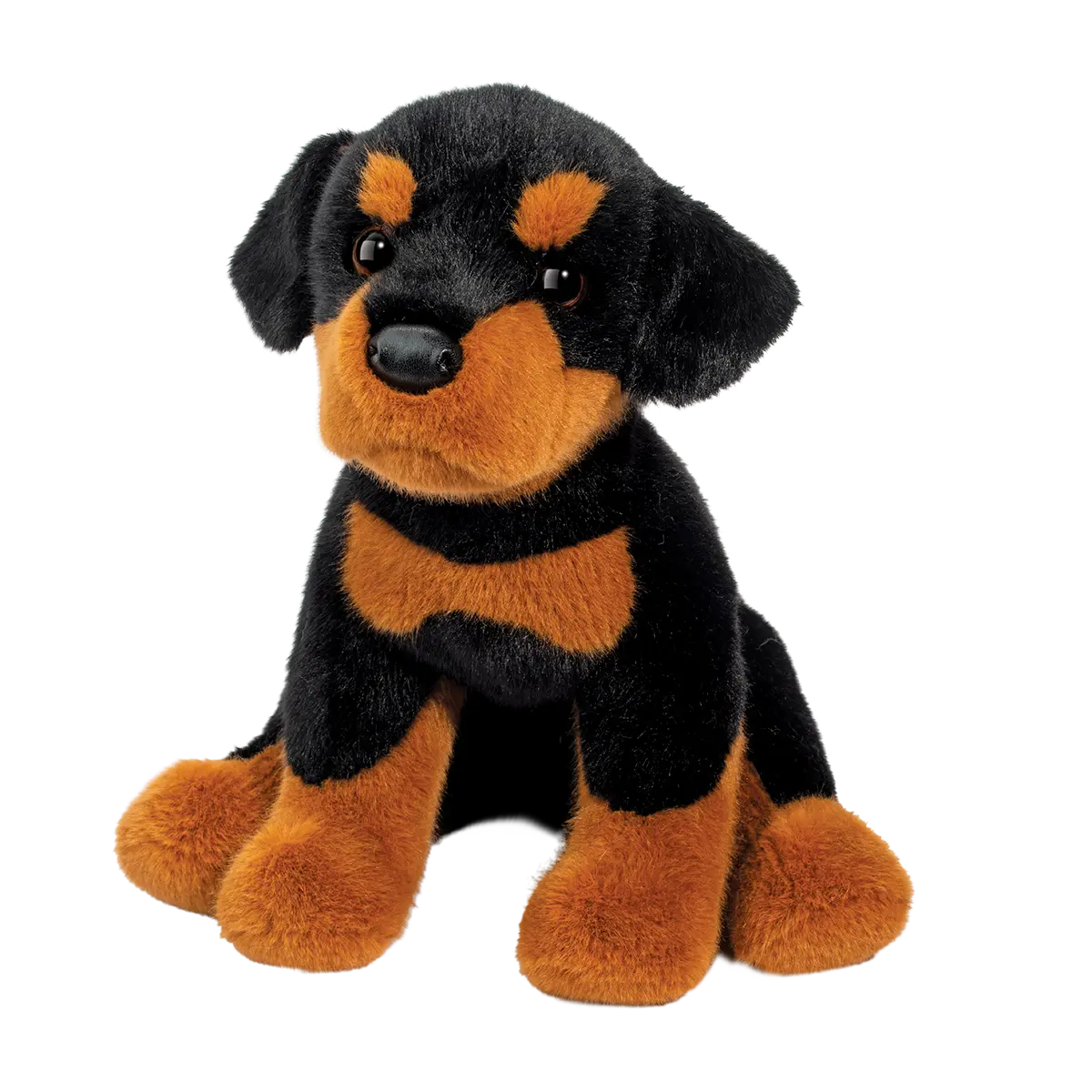 Ed ROTTWEILER