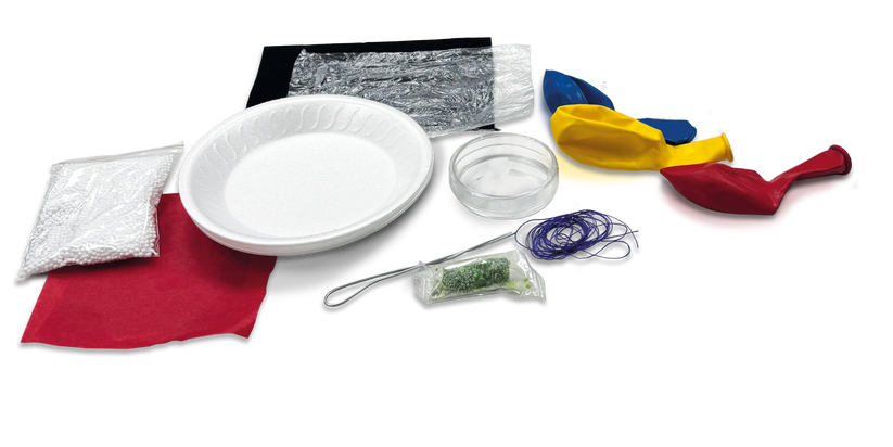 Electricité statique