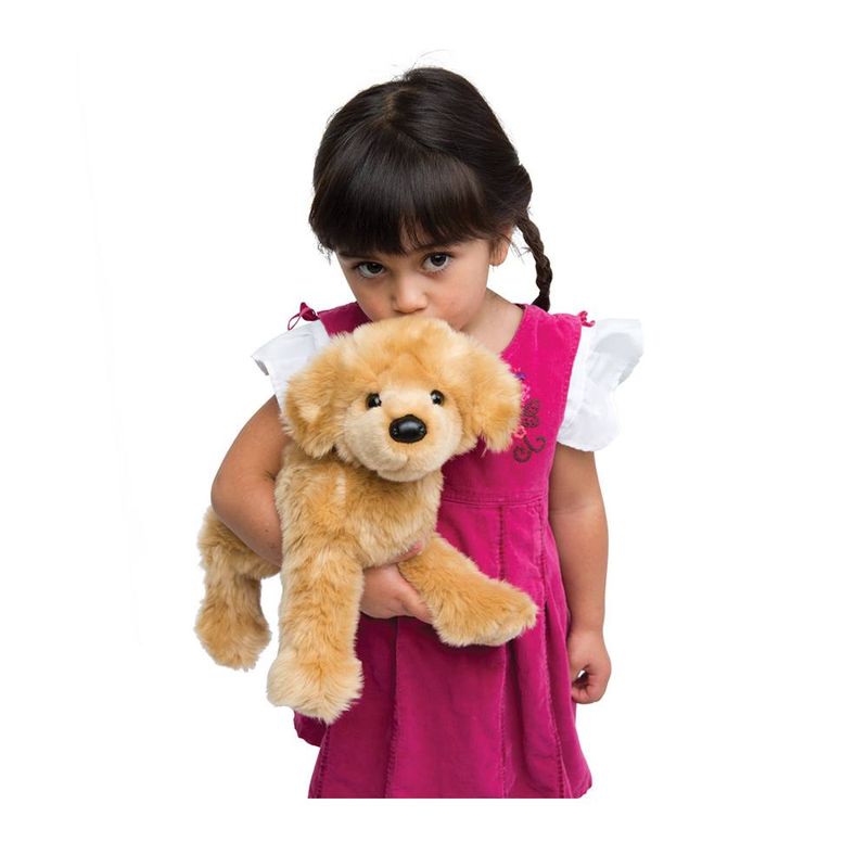 Bella Golden retriever