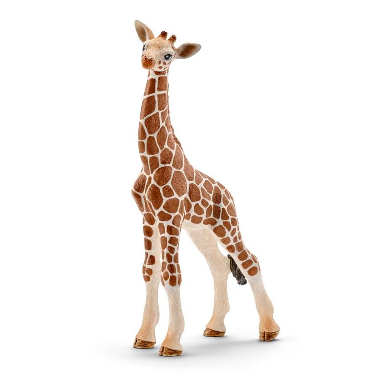 Bébé Giraffe
