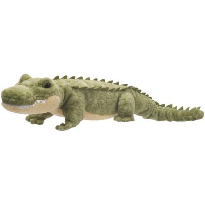 Stream Line Alligator