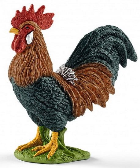 Coq