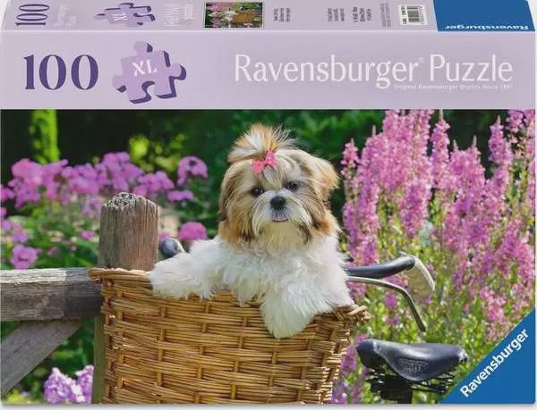 PZ100XL Sweet little dog
