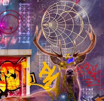 LUNISART X ISABELLE LUTTER