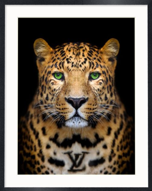 All You See Is Money All You See Is Money