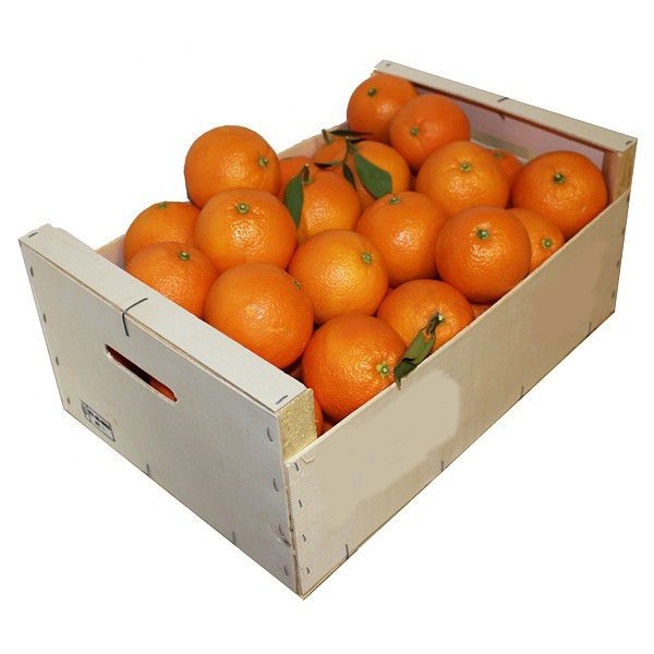 Caja de Naranjas de Mesa 10kg