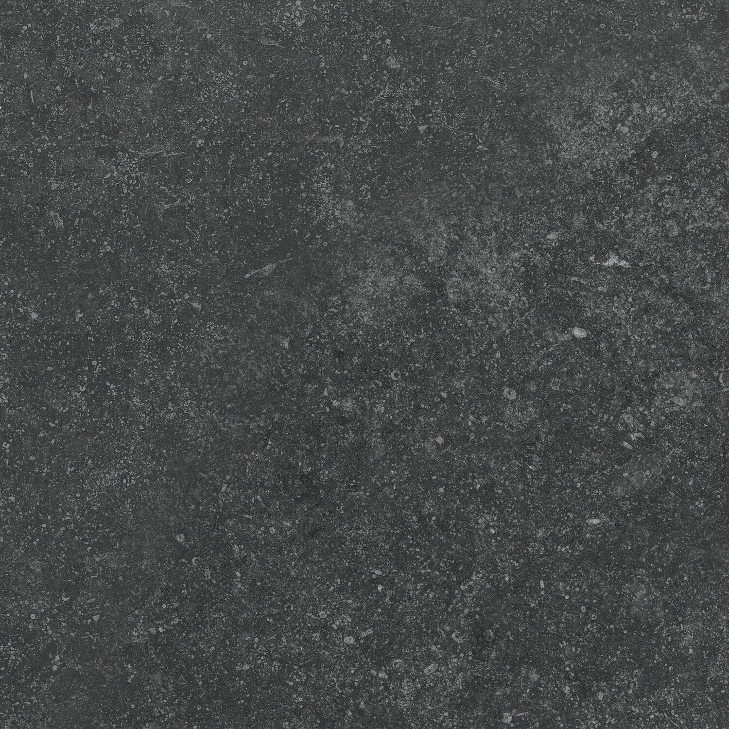 SPECTRE DARK GREY 20MM 60X60
