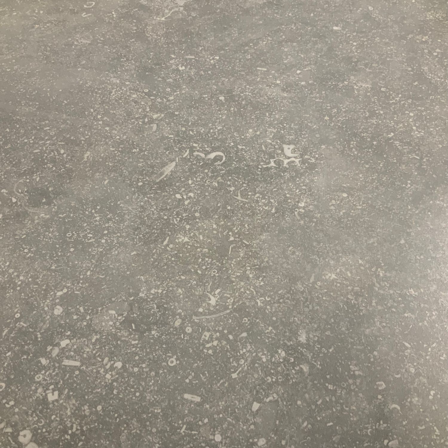 Gent 120x120 lappato pleine masse 6mm