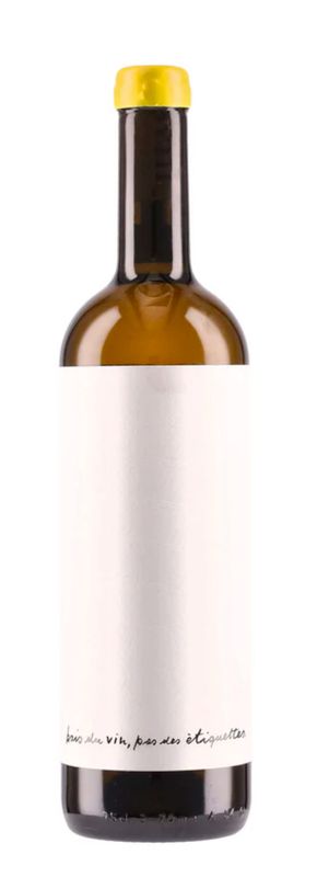 DWNL Langhe Chardonnay 2023 0,75 lt