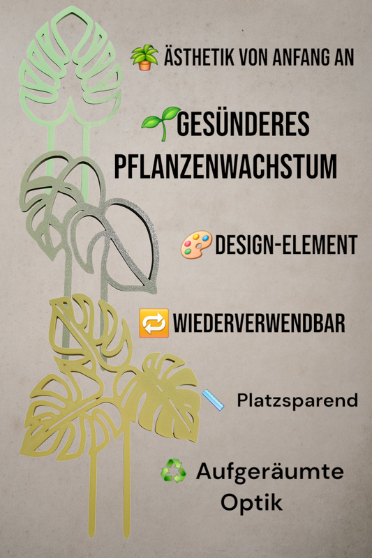 🌿RankArt – Moderne Rankhilfe🪴