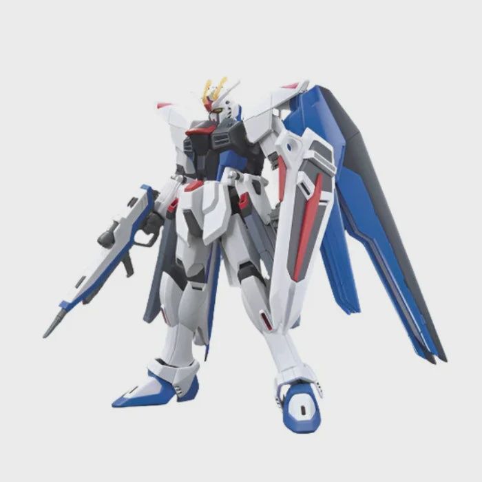 HGCE 1/144 FREEDOM GUNDAM