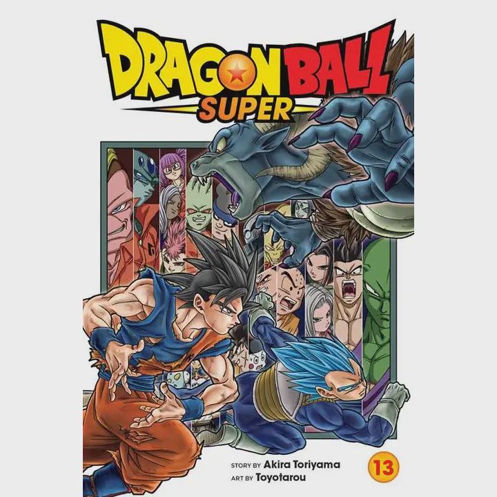Dragon Ball Super Vol. 13