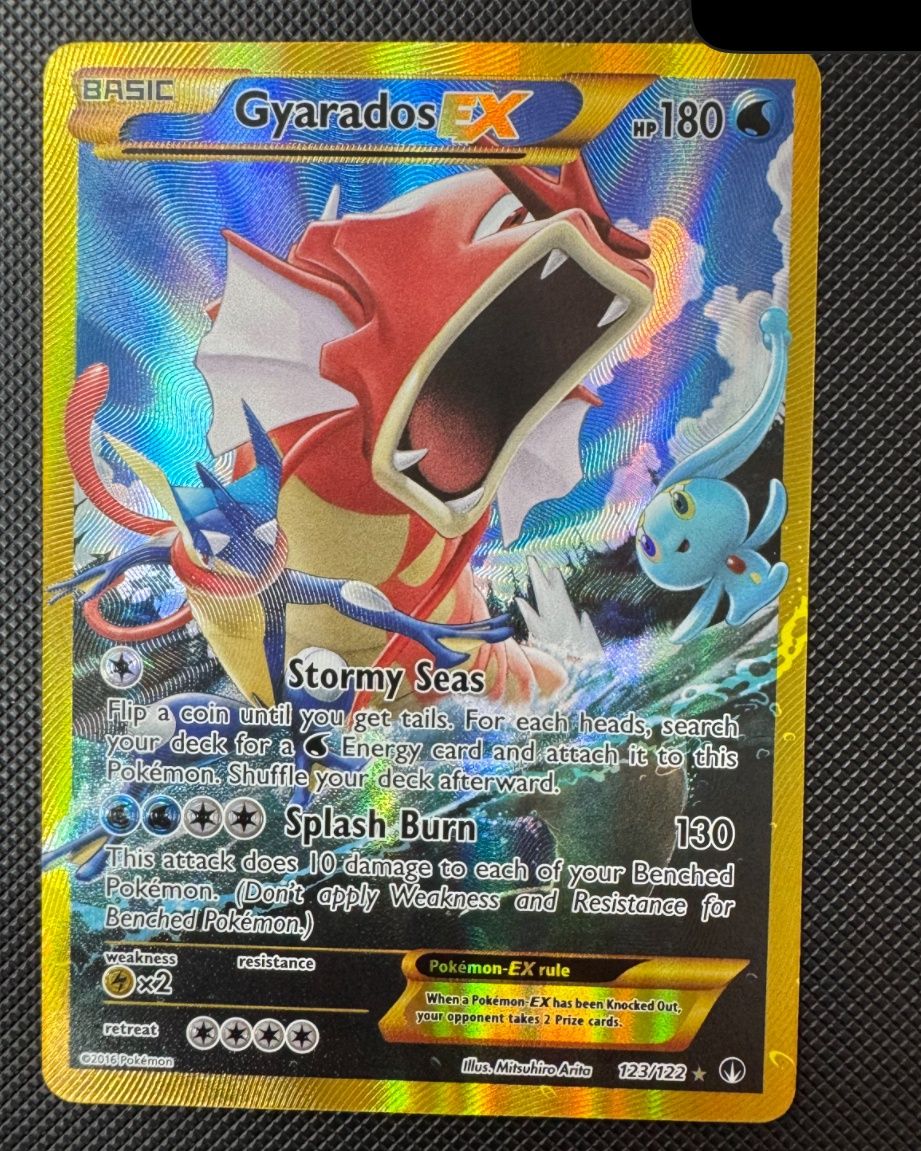 Gyarados Chase
