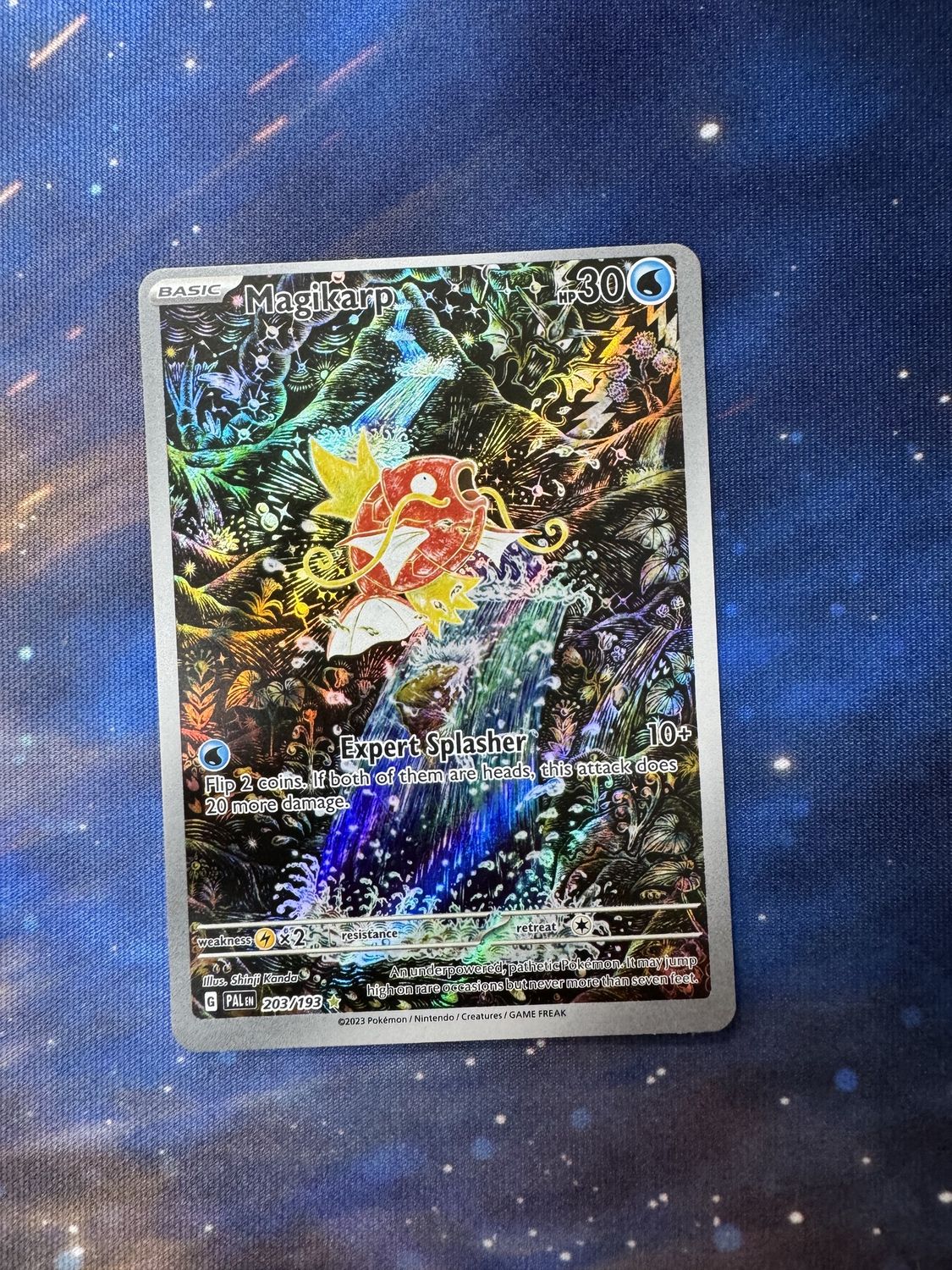 Magikarp 203/193
