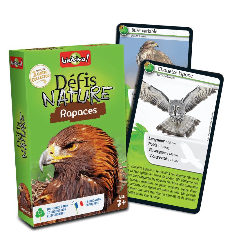 Défis Nature - Rapaces