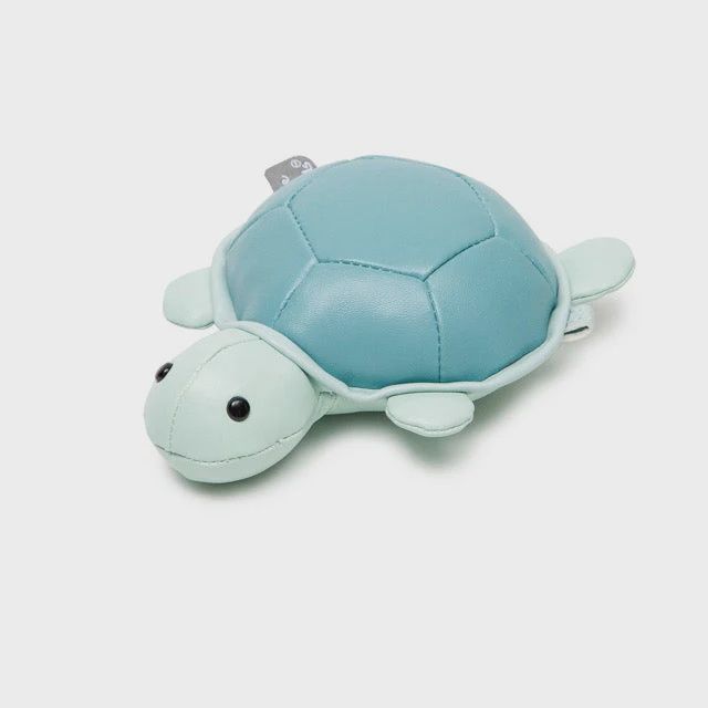 Emily the Turtle