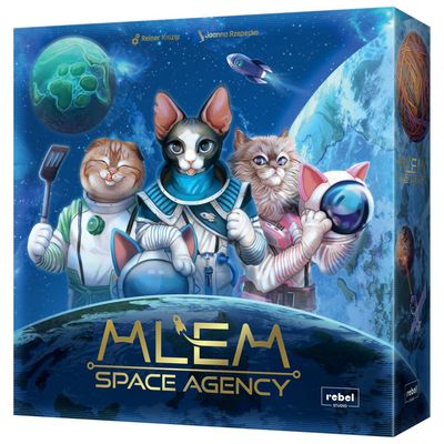 MLEM Space Agency