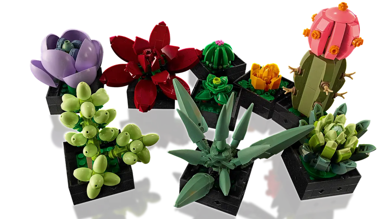 Lego Botanicals 10309 Succulents